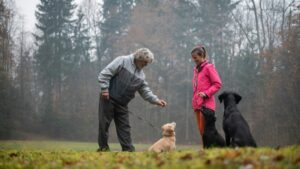 Un cane felice e un proprietario che lo premia per aver fatto i bisogni all'esterno. L'immagine cattura un momento di addestramento positivo, evidenziando l'importanza delle ricompense nel processo di insegnamento. Seguire questi suggerimenti renderà l'addestramento al "fare i bisogni fuori" una sfida gratificante per te e il tuo fedele amico peloso.