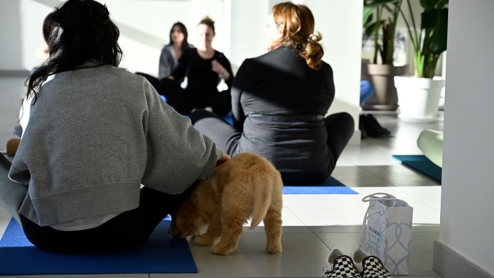 Momento di tranquillità: persona medita con un cucciolo durante il Puppy Yoga a Rimini